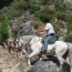 Rancho la Paz