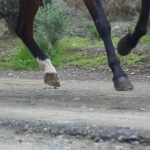 Tour - Trail - Ruta