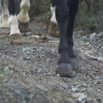 Tour - Trail - Ruta