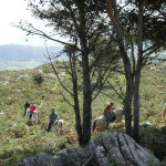 Tour - Trail - Ruta