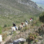 Rancho la Paz