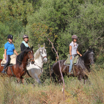 Tour - Trail - Ruta