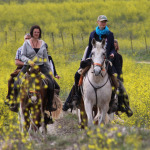 Tour - Trail - Ruta