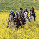 Tour - Trail - Ruta