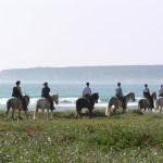 Tour - Trail - Ruta