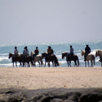 Tour - Trail - Ruta