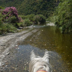 Tour - Trail - Ruta