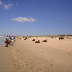Tour - Trail - Ruta